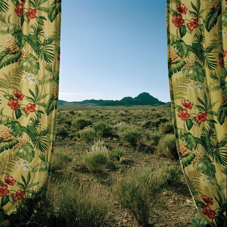 진짜로 끝나버렸어 여름! | 인스티즈