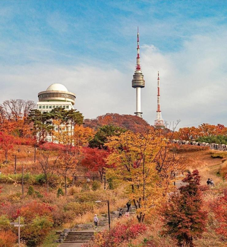 그렇게 꺼지라고 했는데 막상 그리운 녀석.. | 인스티즈