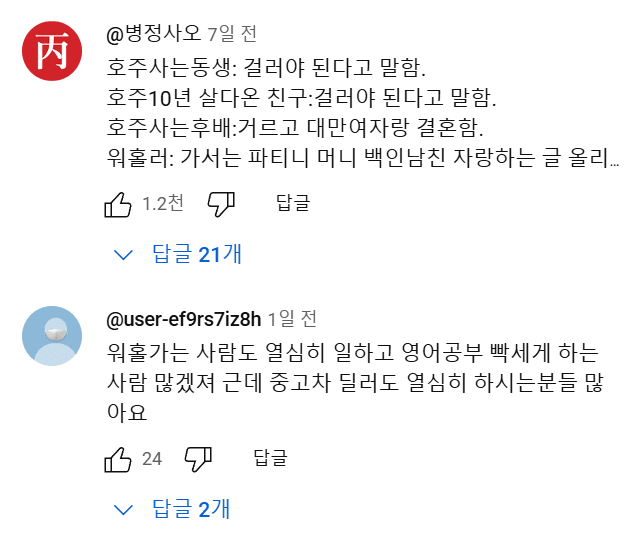 호주 워홀.....유튜브 댓글 대참사 | 인스티즈