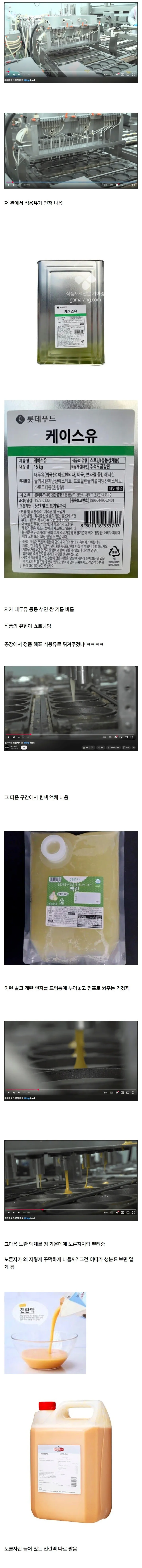 냉동 계란 후라이의 비밀 | 인스티즈