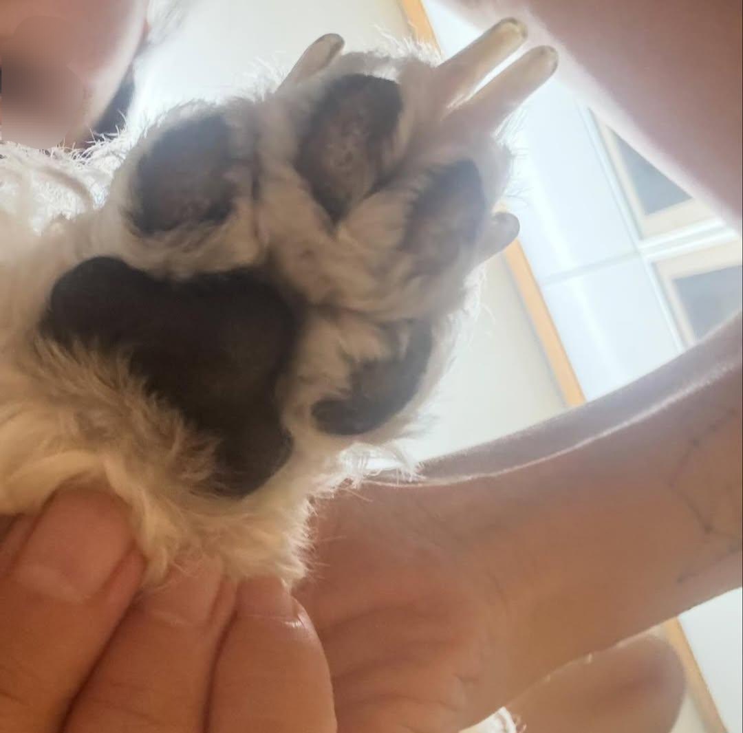 아이유치원에서 우리아이찾기 테스트를 내줬다 | 인스티즈