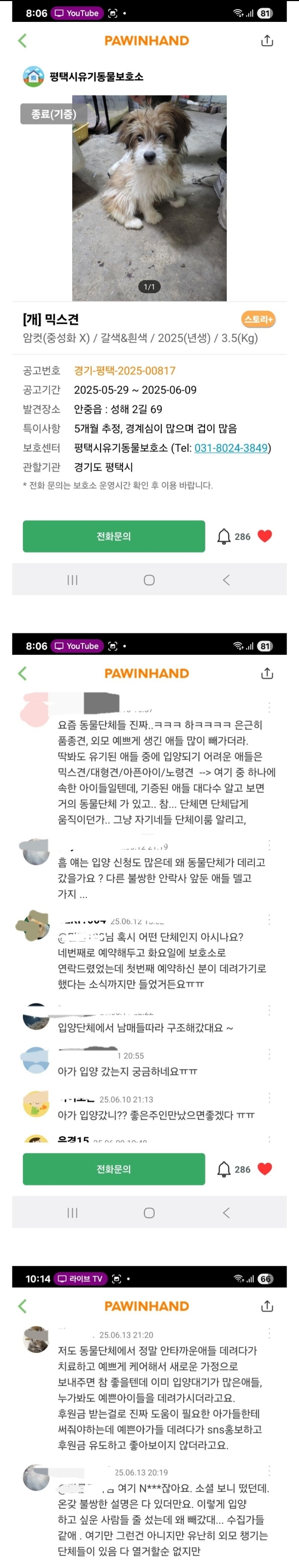 유기견 입양하려다가 유기동물보호단체 민낯을본 후기 | 인스티즈