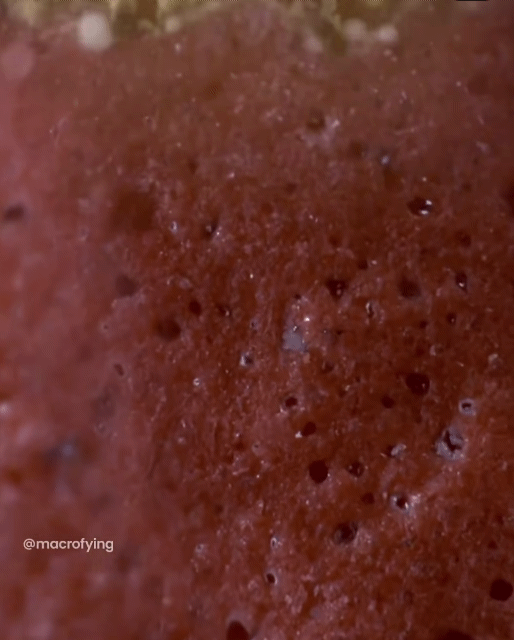  현미경으로 보자 : 성냥개비에 불이 붙는 모습 | 인스티즈