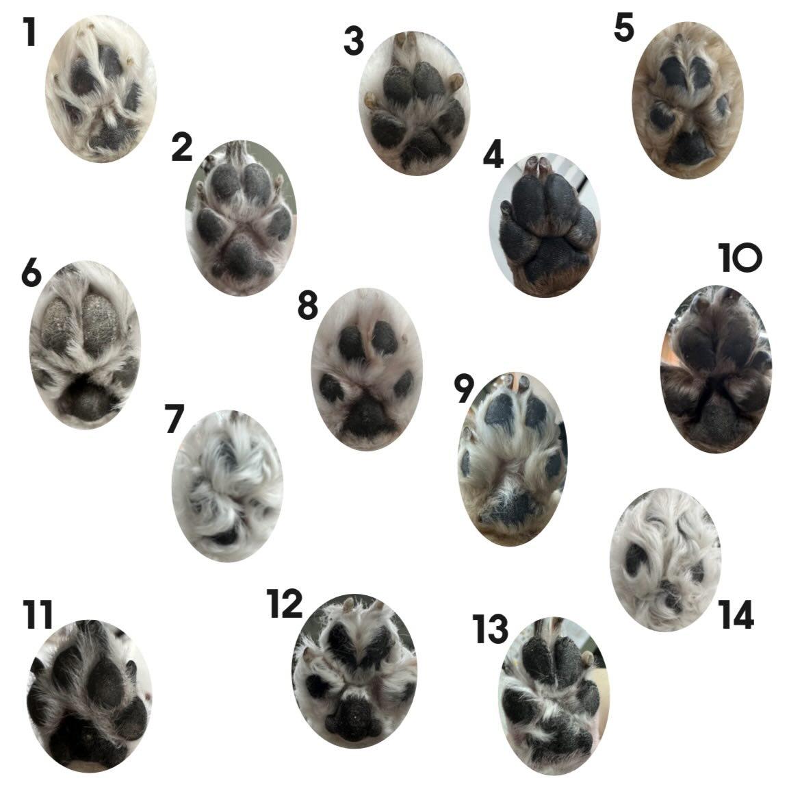 아이유치원에서 우리아이찾기 테스트를 내줬다 | 인스티즈