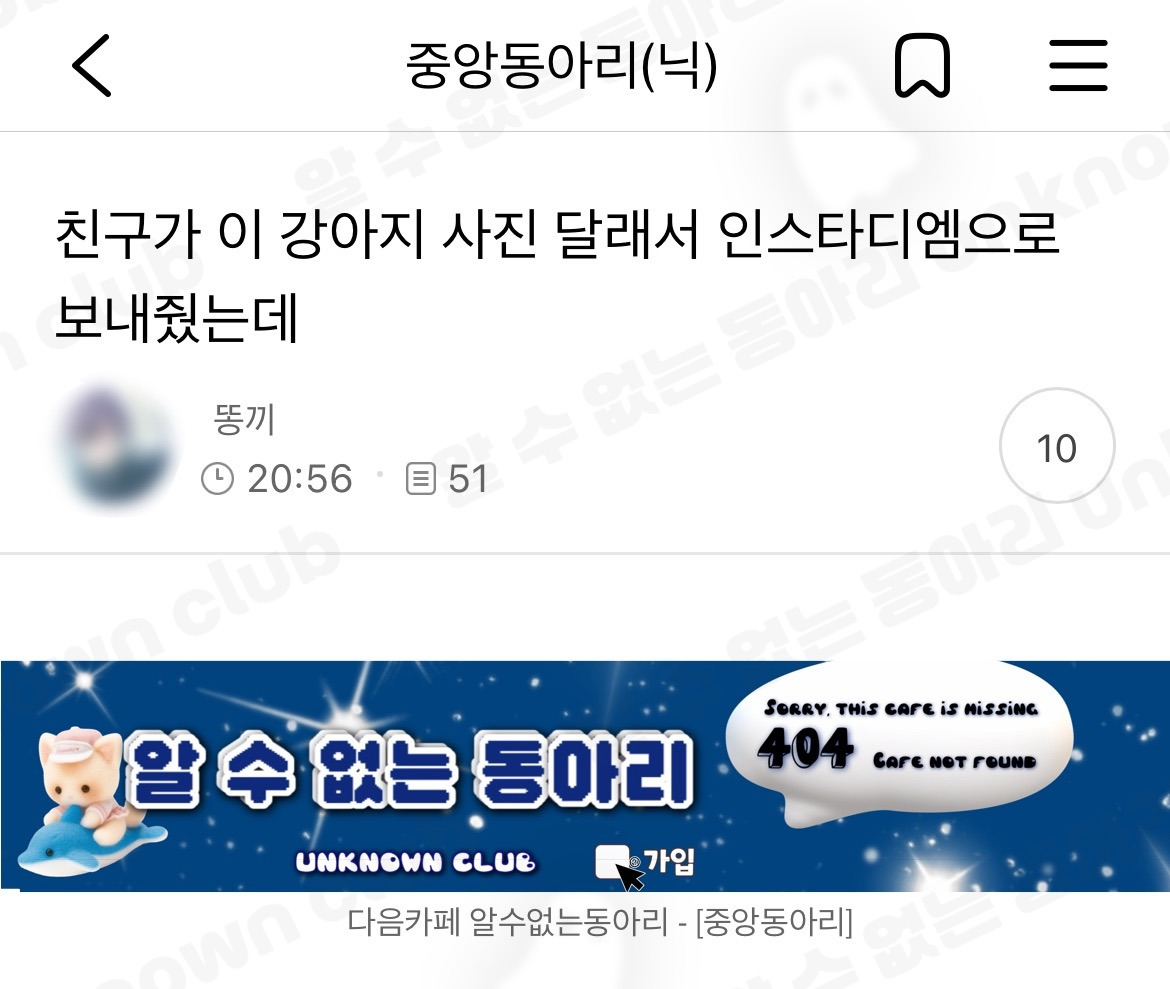 친구가 이 강아지 사진 달래서 인스타디엠으로 보내줬는데 | 인스티즈