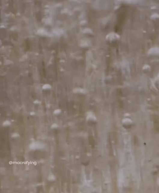  현미경으로 보자 : 성냥개비에 불이 붙는 모습 | 인스티즈