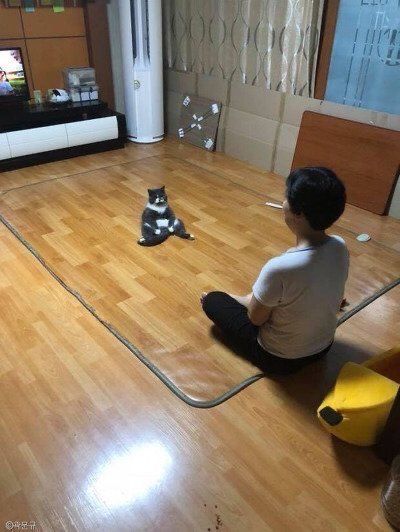 그것이 고양이니까 | 인스티즈