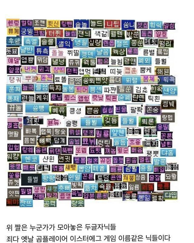 메이플스토리의 해괴한 닉네임 문화 | 인스티즈