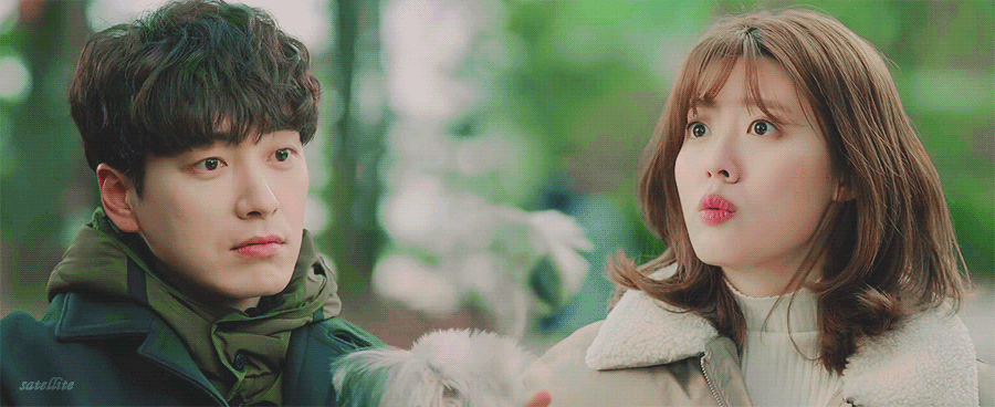 딱 이 정도 온도의 케미가 취향인 드들 (움짤 多) | 인스티즈