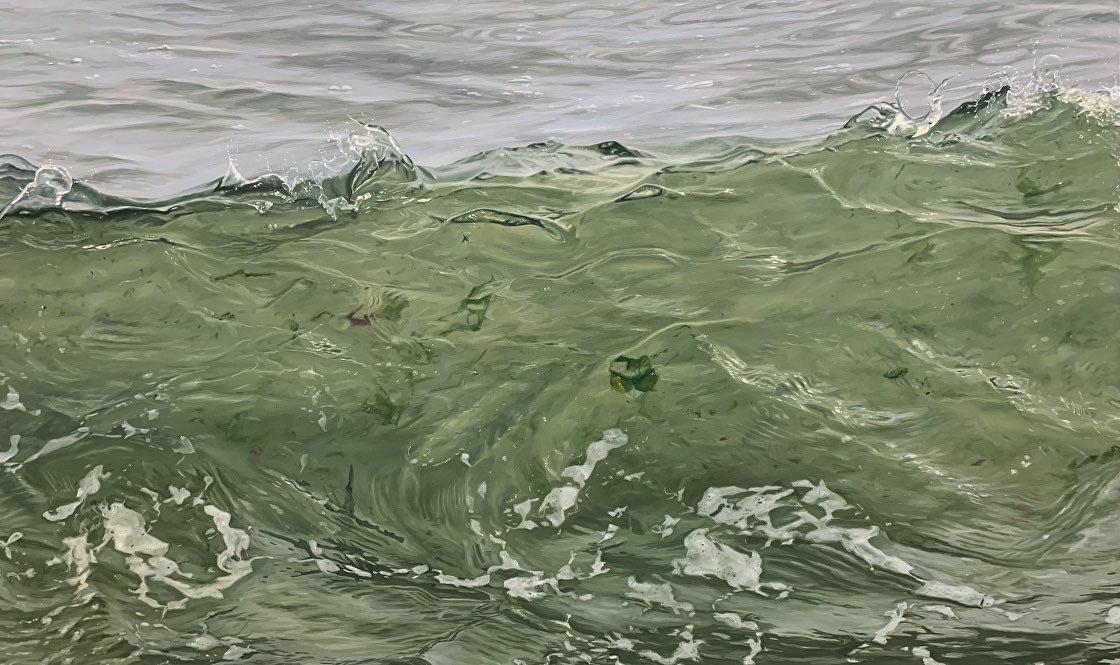 이게 유화라니 믿을수없게 정말 아름답다 | 인스티즈