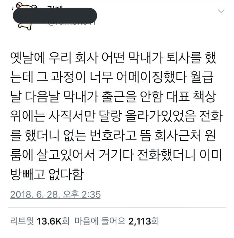 회사 막내의 기묘한 퇴사 | 인스티즈