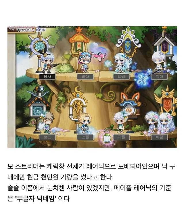 메이플스토리의 해괴한 닉네임 문화 | 인스티즈