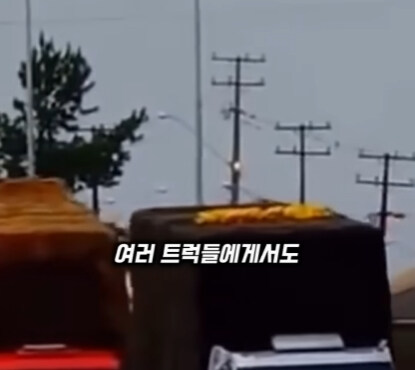 브라질의 독특한 트럭 문화.jpg | 인스티즈