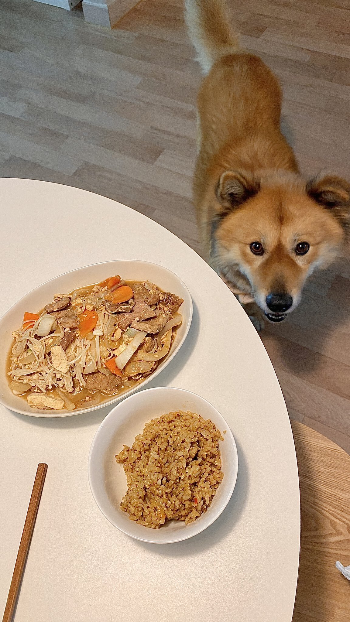 밥 먹을 때마다 기웃대는 왕강아지 | 인스티즈