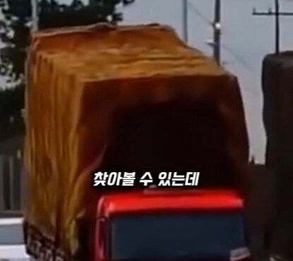 브라질의 독특한 트럭 문화.jpg | 인스티즈