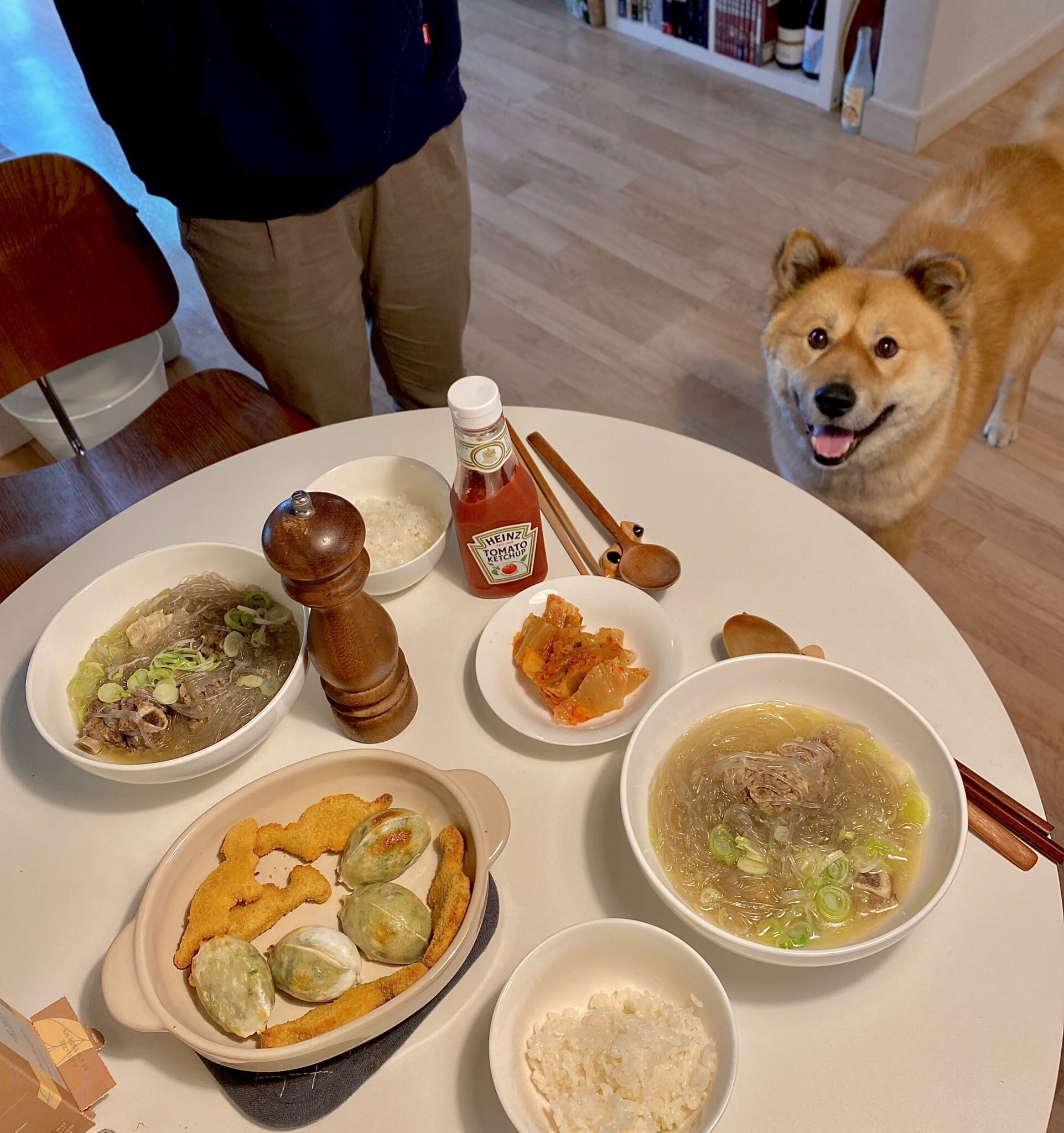 밥 먹을 때마다 기웃대는 왕강아지 | 인스티즈