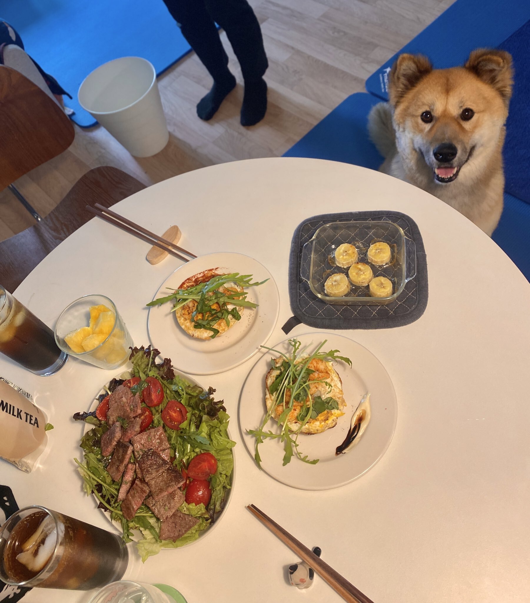 밥 먹을 때마다 기웃대는 왕강아지 | 인스티즈