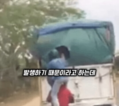 브라질의 독특한 트럭 문화.jpg | 인스티즈