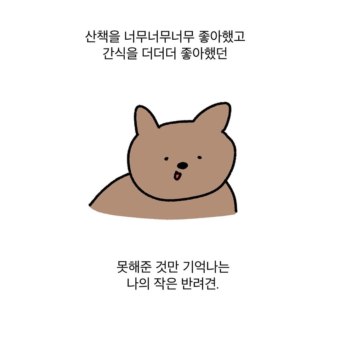 반려동물을 떠나보낸 사람이라면 공감할 인스타툰 | 인스티즈