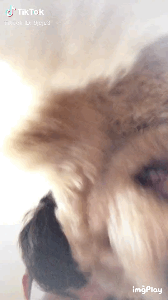 실수로 전여친 인스타스토리 봐버림...jpg | 인스티즈