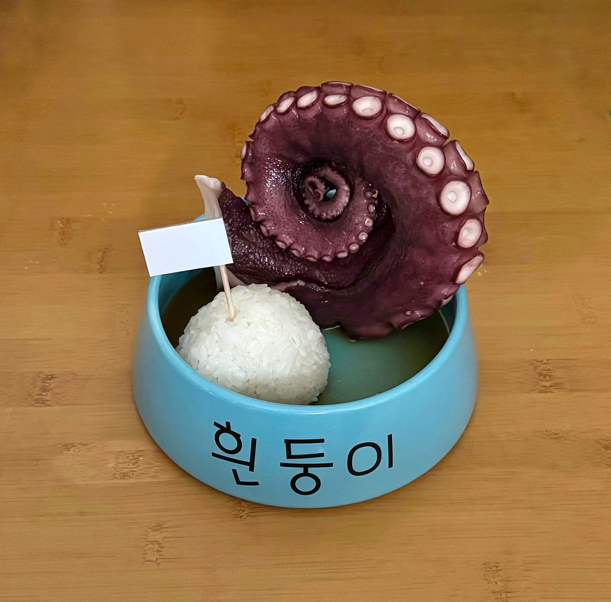 흰둥이 밥그릇에 밥먹는 사람 | 인스티즈