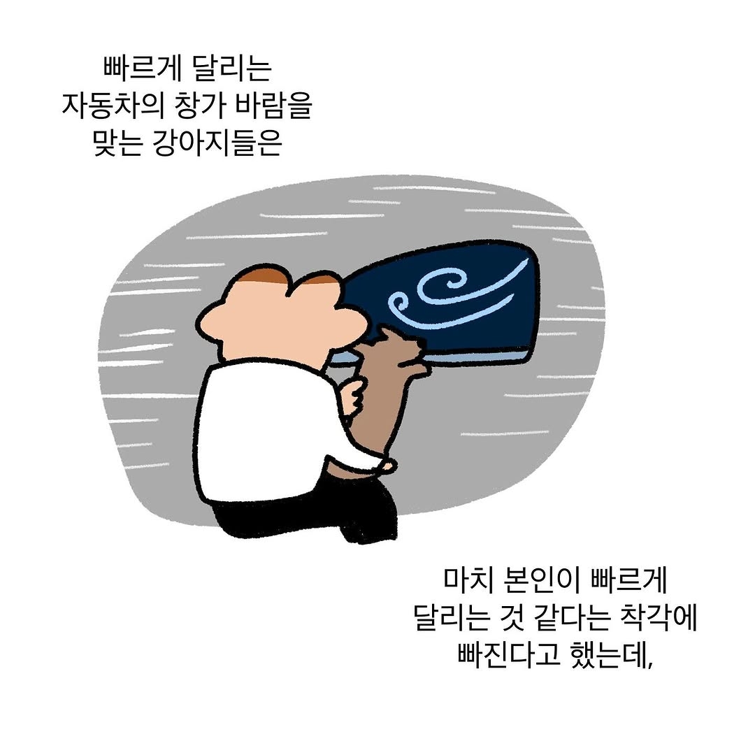 반려동물을 떠나보낸 사람이라면 공감할 인스타툰 | 인스티즈