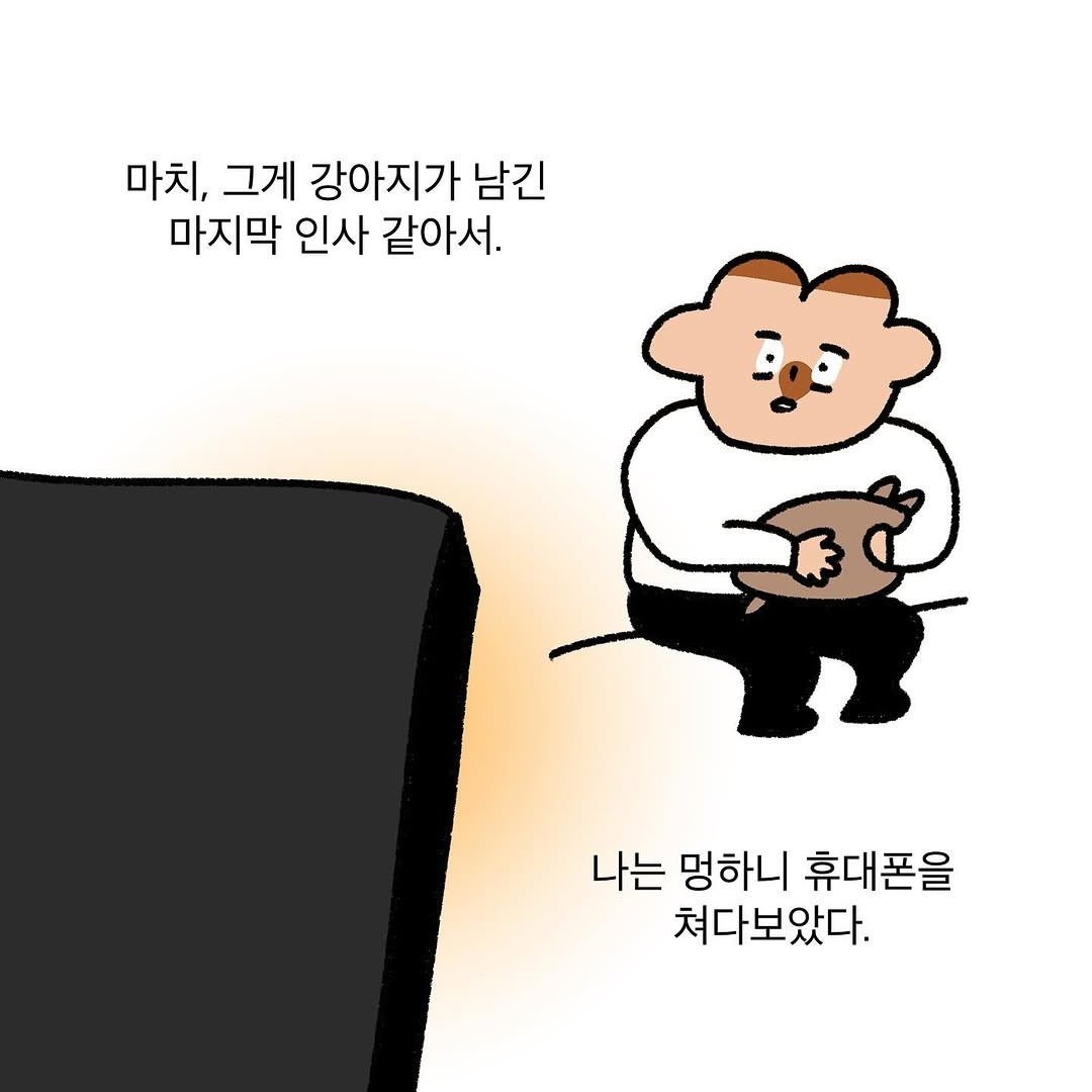 반려동물을 떠나보낸 사람이라면 공감할 인스타툰 | 인스티즈