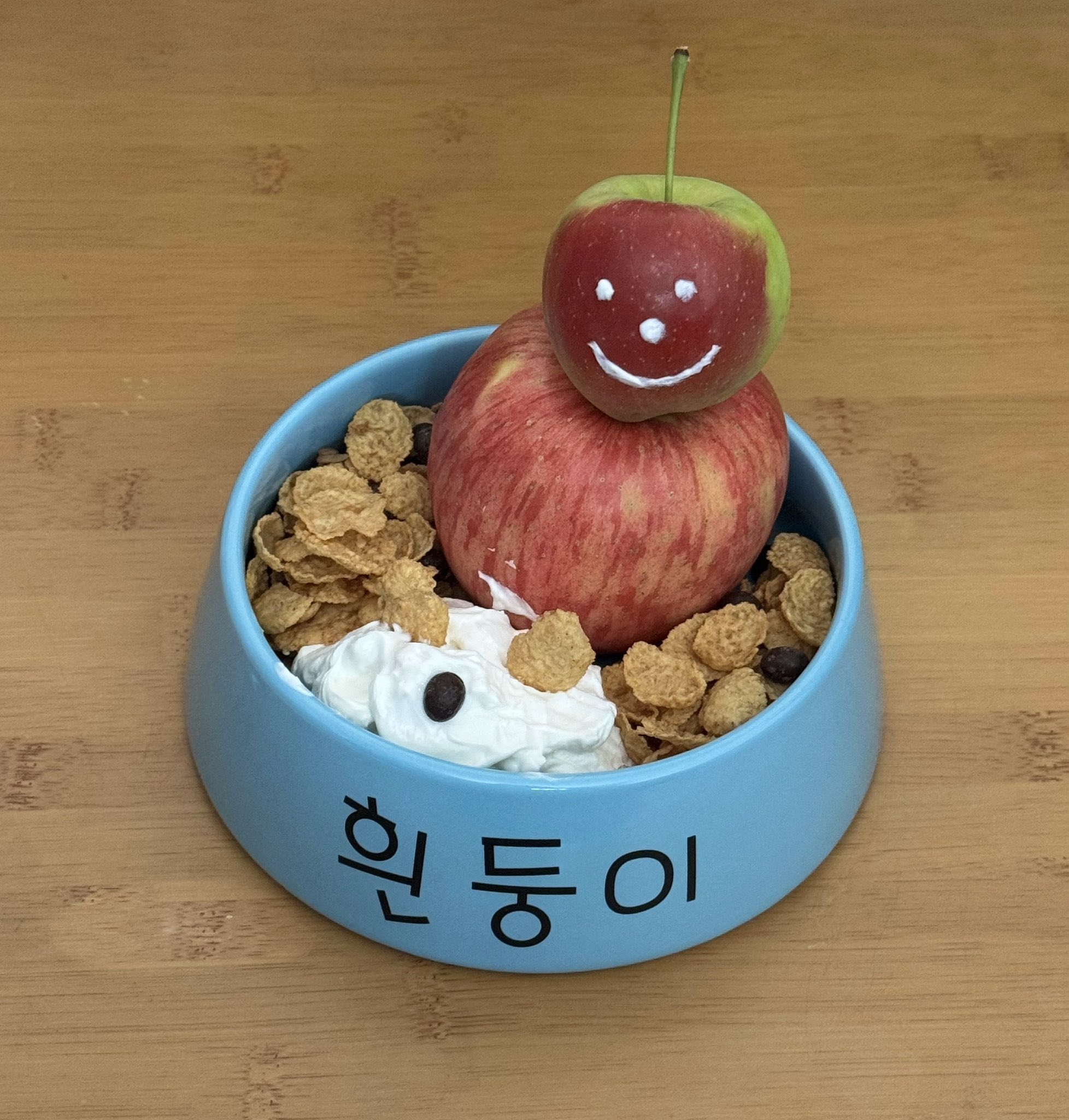 흰둥이 밥그릇에 밥먹는 사람 | 인스티즈