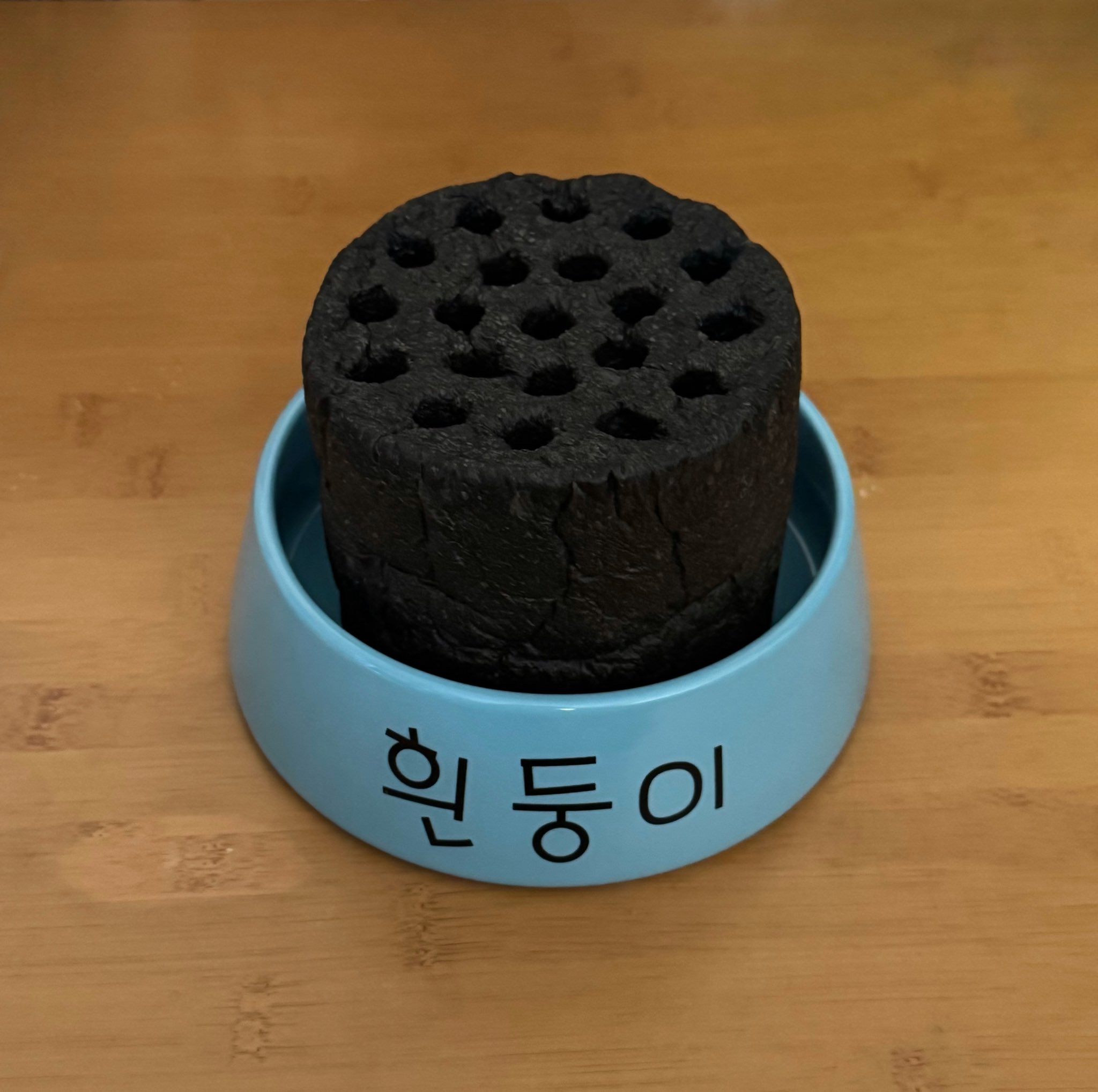 흰둥이 밥그릇에 밥먹는 사람 | 인스티즈