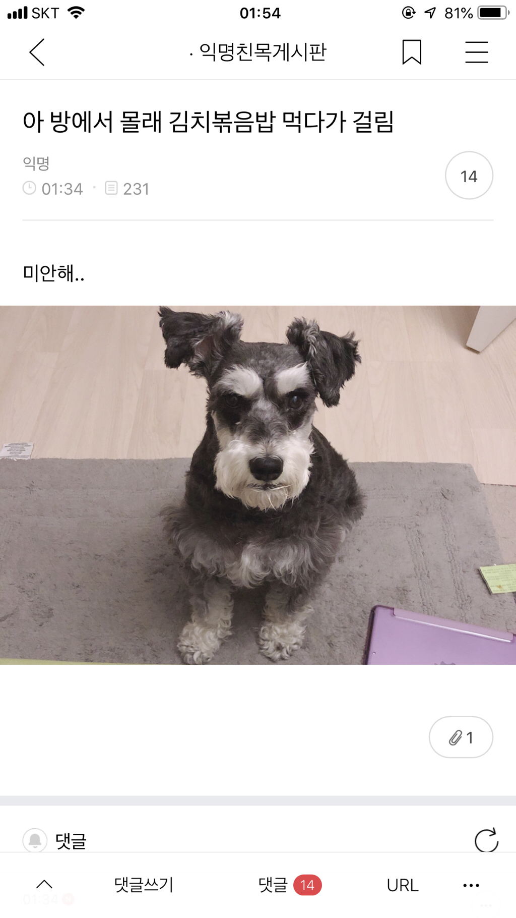 실수로 전여친 인스타스토리 봐버림...jpg | 인스티즈