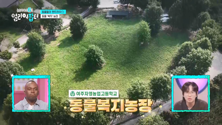 수업 이동할 때 걸어다니면 만 보 이상 가능하다는 국내 최대 고등학교 | 인스티즈