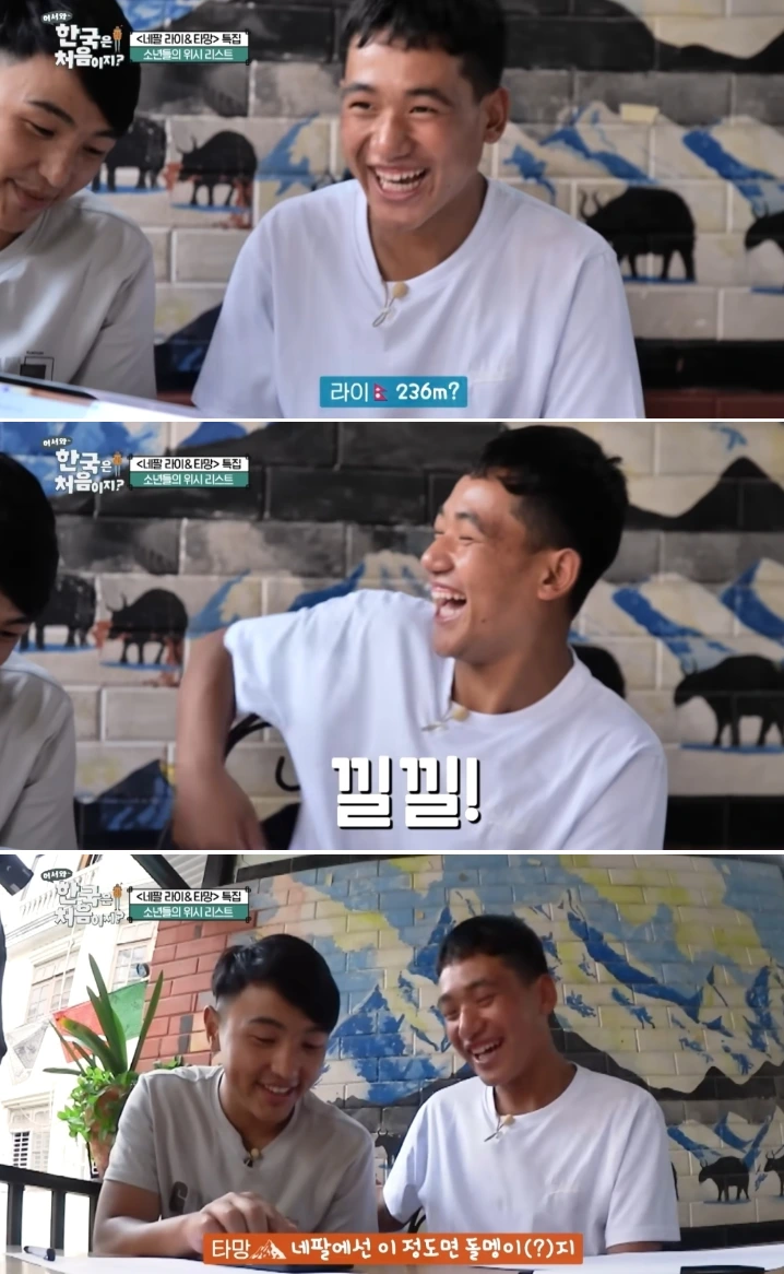 한국 산을 돌멩이 취급하는 외국인 형제.jpg | 인스티즈