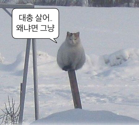 육아도 적성에 맞는 사람이 있는 것 같은 달글 | 인스티즈