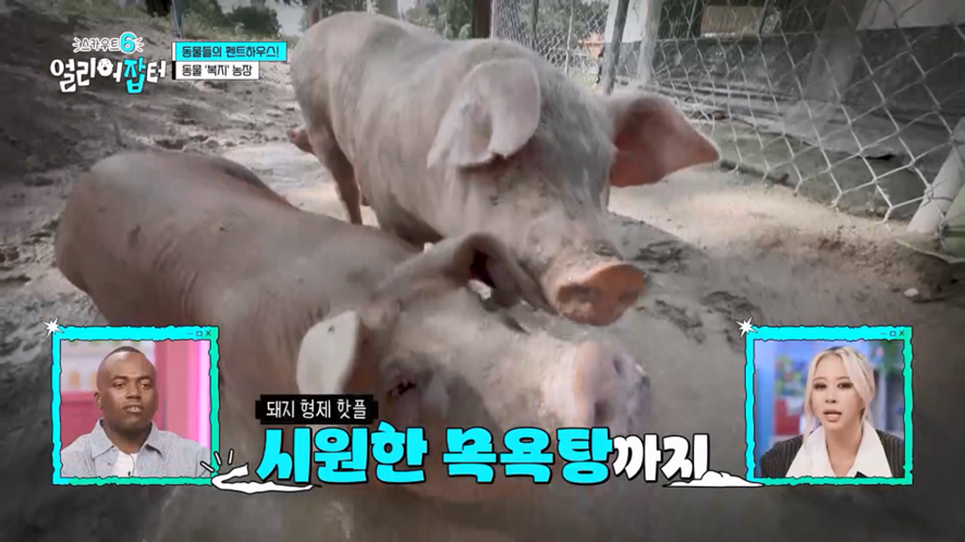 수업 이동할 때 걸어다니면 만 보 이상 가능하다는 국내 최대 고등학교 | 인스티즈