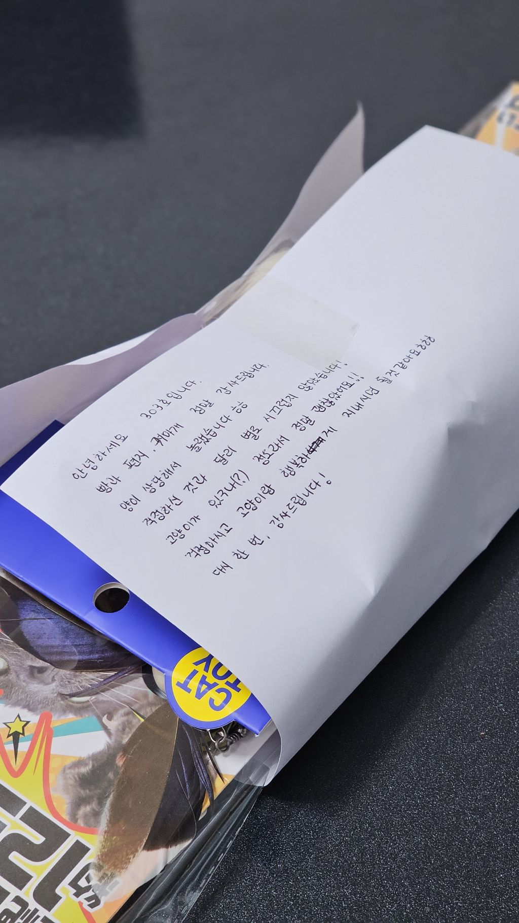 성묘 길냥이 입양했는데 아직 적응 못해서 새벽마다 진짜 시끄럽거든? | 인스티즈