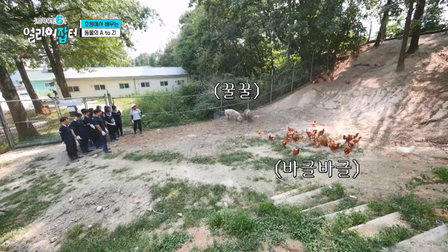 수업 이동할 때 걸어다니면 만 보 이상 가능하다는 국내 최대 고등학교 | 인스티즈