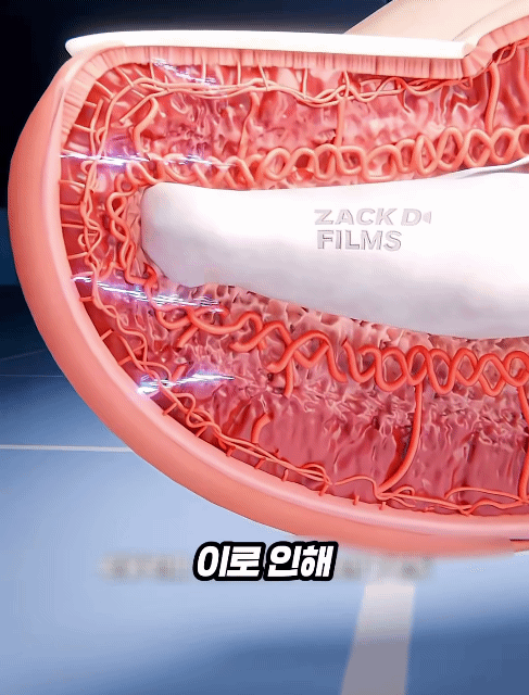  문콕하면 발가락이 아픈 원리 | 인스티즈