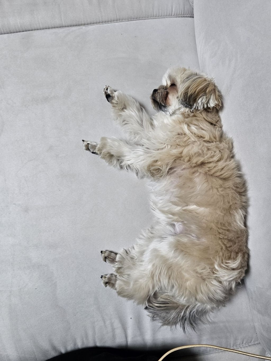 진짜 울강쥐보다 유치원에서 잘노는애 잇음 나와봐 | 인스티즈