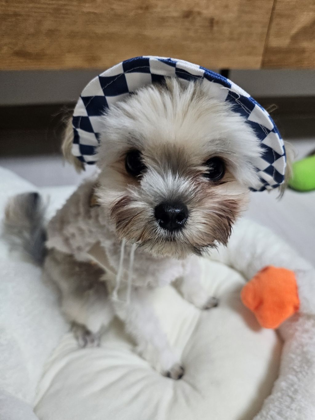 진짜 울강쥐보다 유치원에서 잘노는애 잇음 나와봐 | 인스티즈