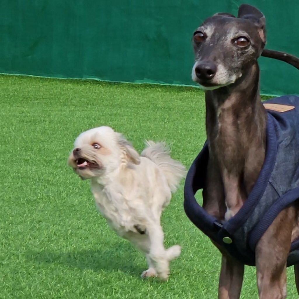 진짜 울강쥐보다 유치원에서 잘노는애 잇음 나와봐 | 인스티즈