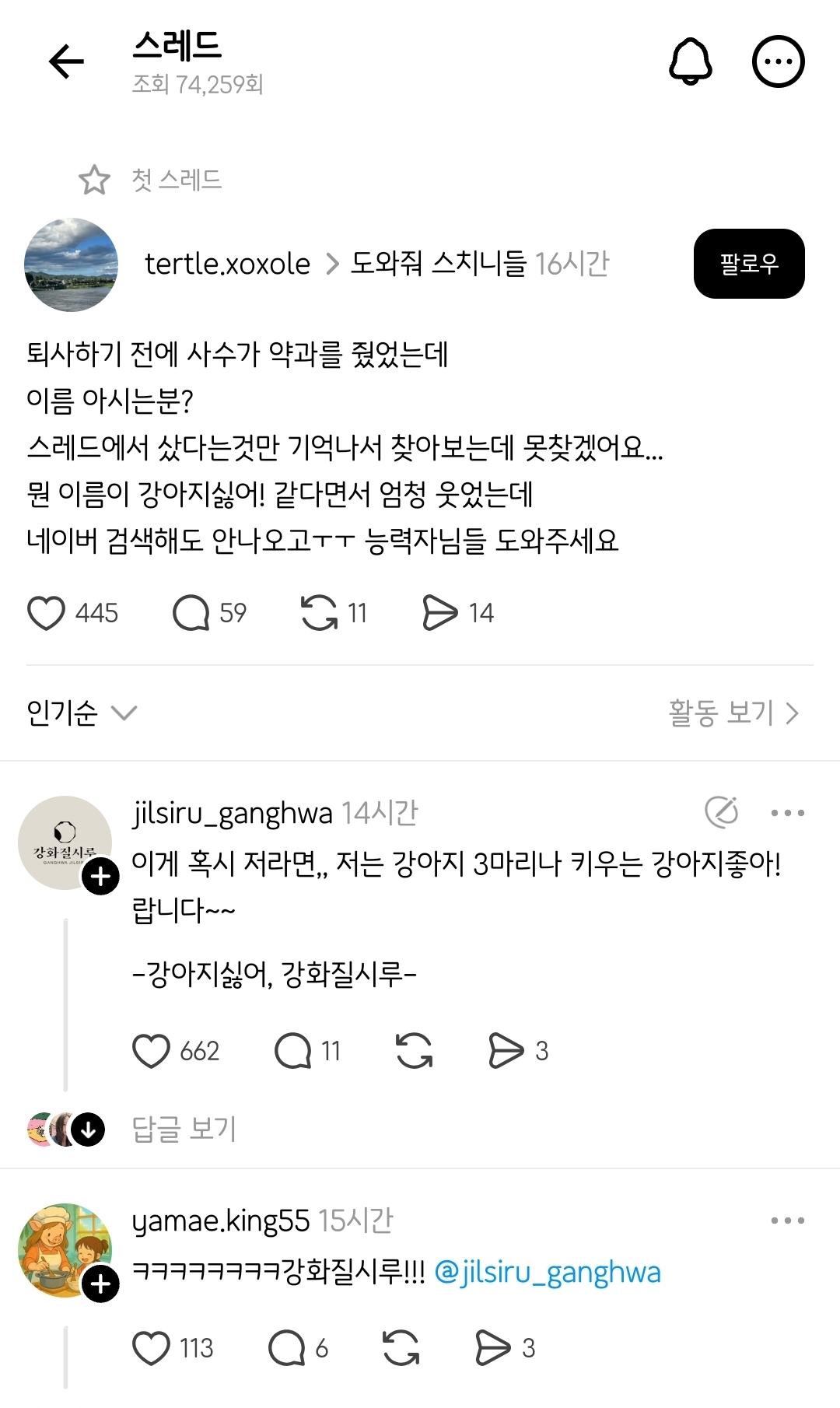 강아지싫어! 느낌의 약과 이름 아시는분 ⋯ | 인스티즈