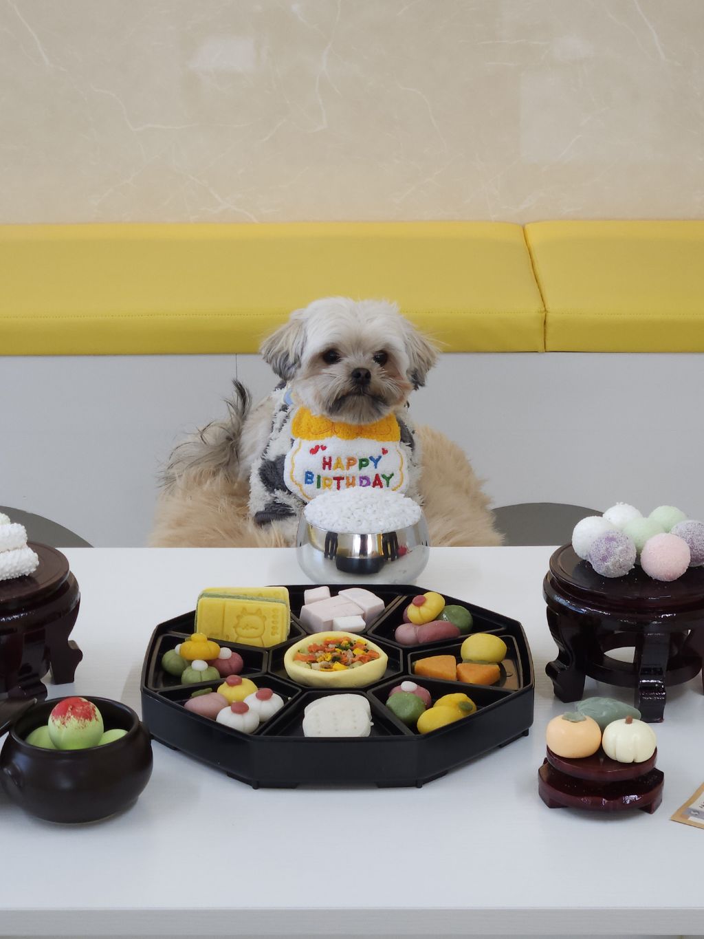 진짜 울강쥐보다 유치원에서 잘노는애 잇음 나와봐 | 인스티즈