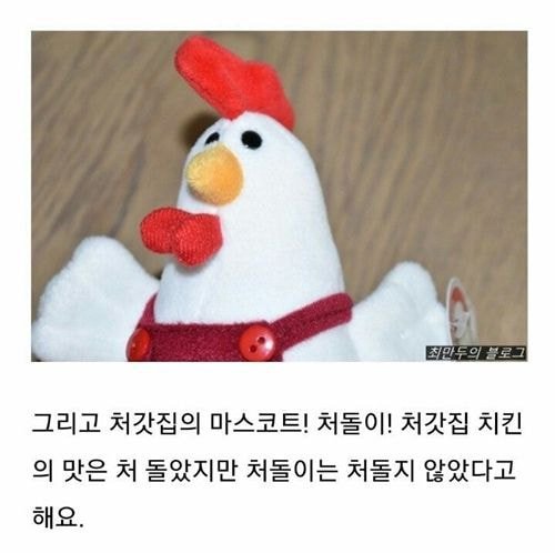 은혜갚은 처돌이.JPG | 인스티즈