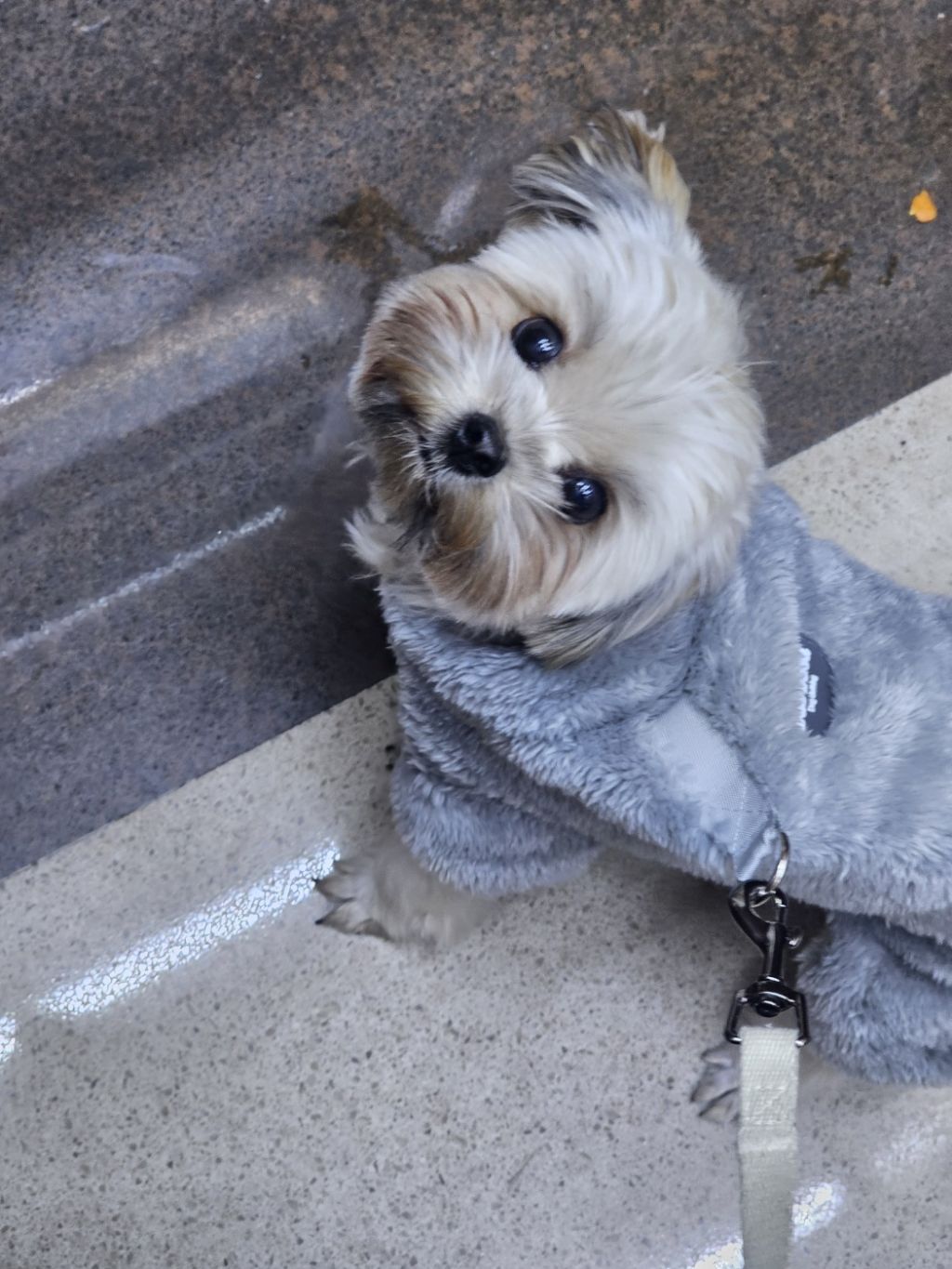 진짜 울강쥐보다 유치원에서 잘노는애 잇음 나와봐 | 인스티즈