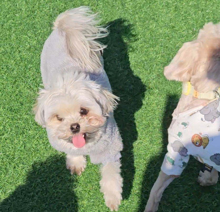 진짜 울강쥐보다 유치원에서 잘노는애 잇음 나와봐 | 인스티즈