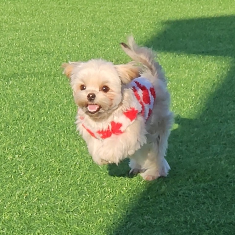 진짜 울강쥐보다 유치원에서 잘노는애 잇음 나와봐 | 인스티즈