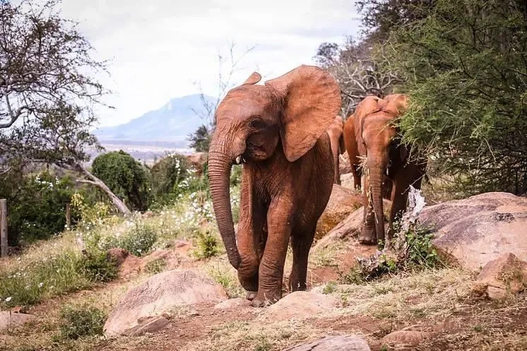 아프지마 도토 ~ 도토잠보 최근 근황 | 인스티즈