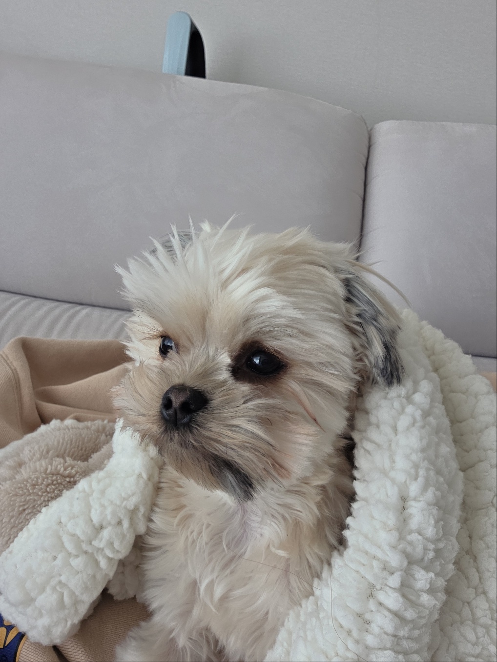 진짜 울강쥐보다 유치원에서 잘노는애 잇음 나와봐 | 인스티즈