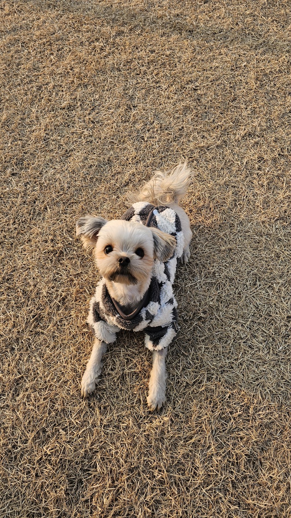 진짜 울강쥐보다 유치원에서 잘노는애 잇음 나와봐 | 인스티즈
