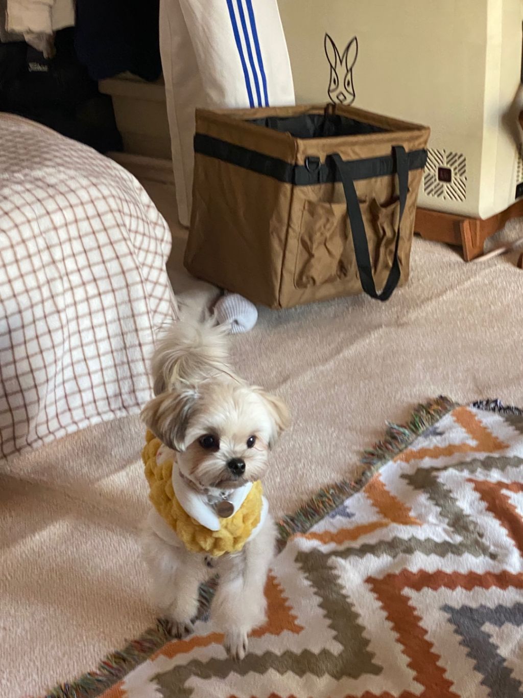 진짜 울강쥐보다 유치원에서 잘노는애 잇음 나와봐 | 인스티즈